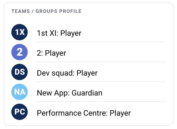 The Teams / Groups section of a profile, listing each team and the role in it
