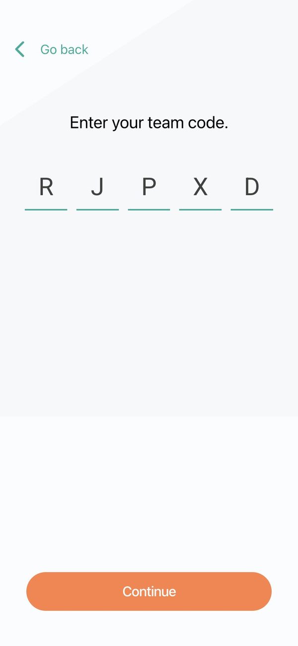 Enter your team code: five boxes, one for each letter or number